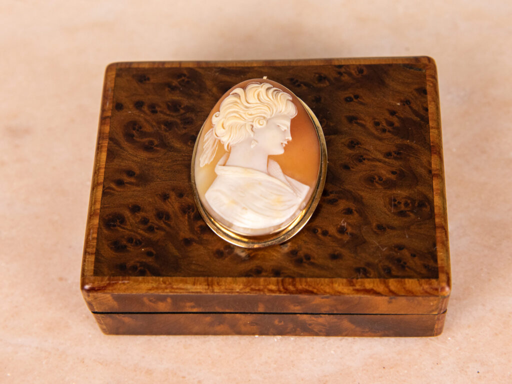 BN4A7231 – копія Антикварна брошка-камея в золотій оправі