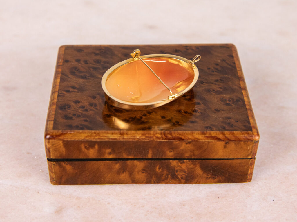 BN4A7236 – копія Антикварна брошка-камея в золотій оправі