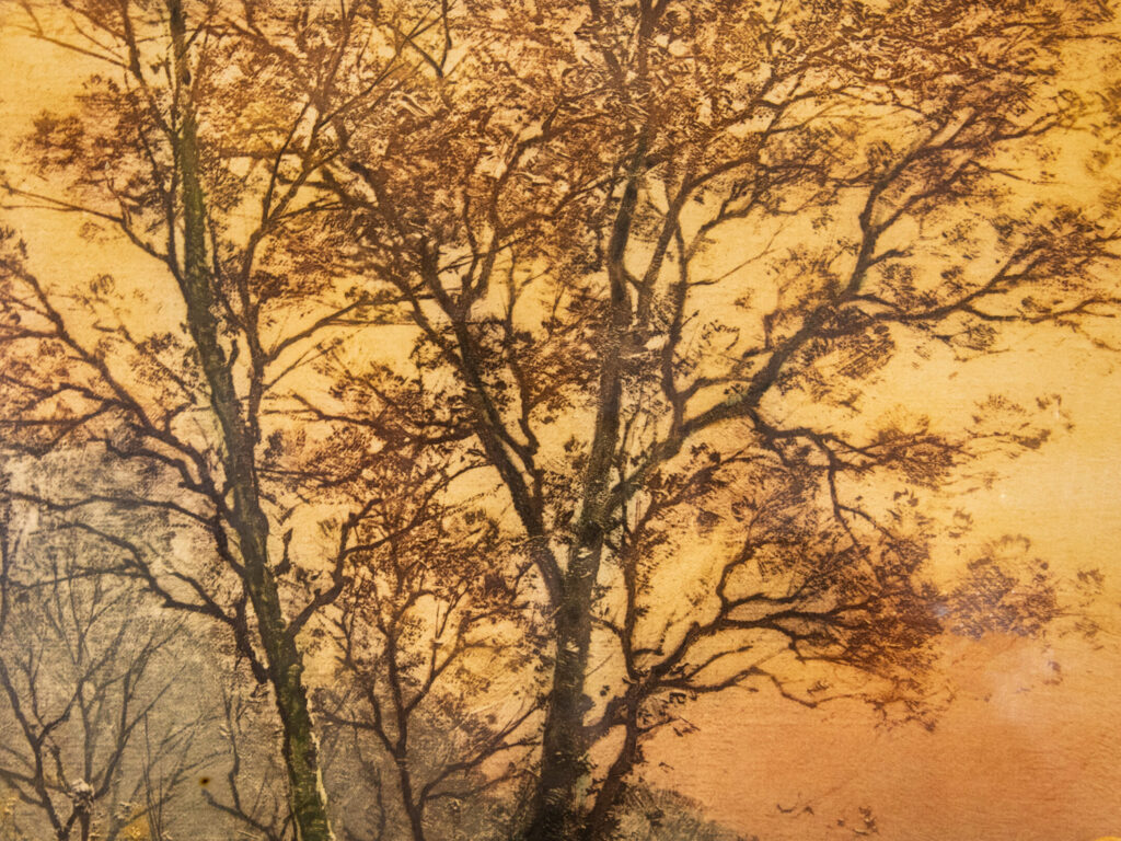 Антикварна літографія авторства А. Ріголо (Albert Rigolot)