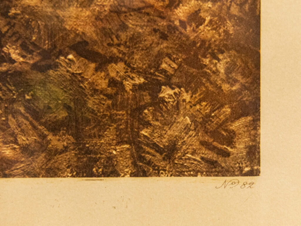 Антикварна літографія авторства А. Ріголо (Albert Rigolot)