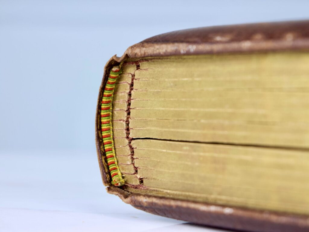 IMG_4557 Антикварний фотоальбом