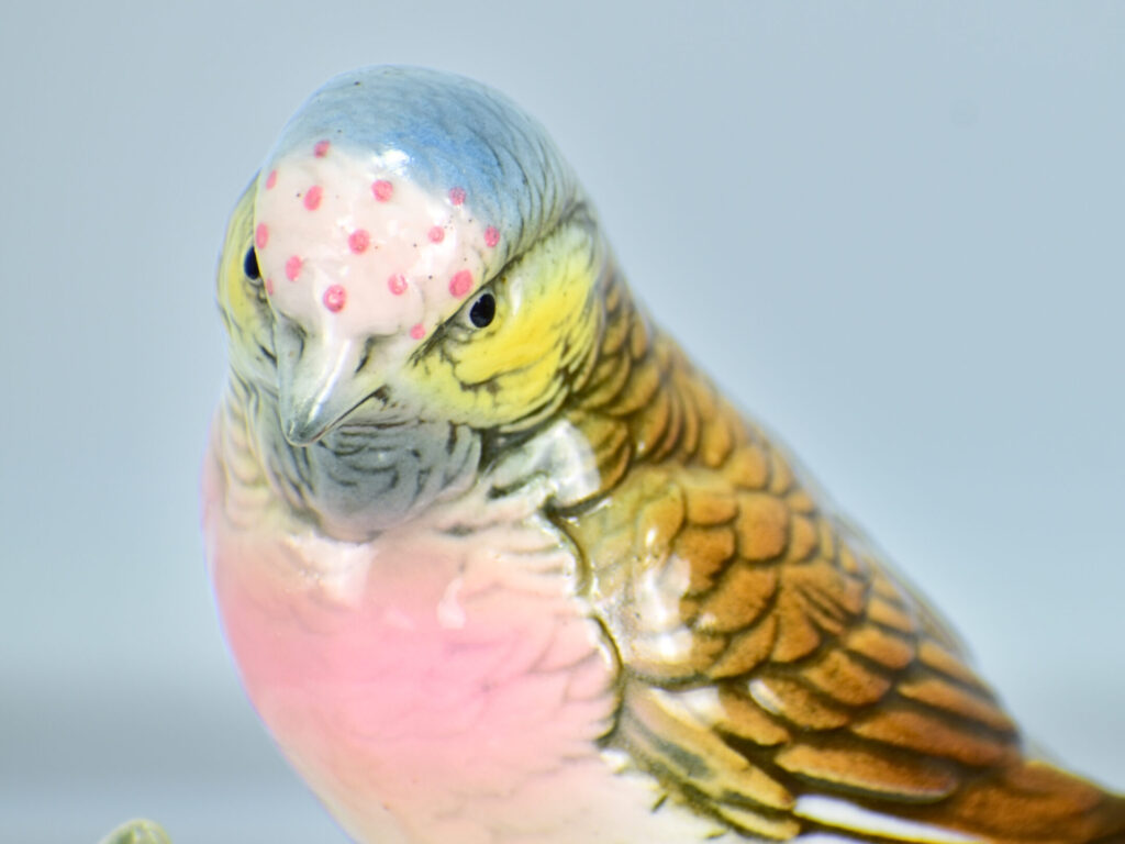 Антикварна порцелянова пташка, Karl Ens