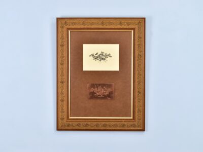 Колекційний екслібрис