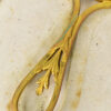 Антикварне ручне дзеркало